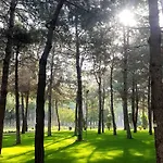 Ic Airport Antalya