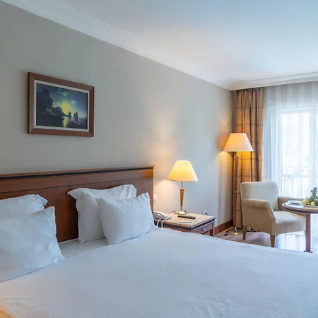 Hotel Ic Airport