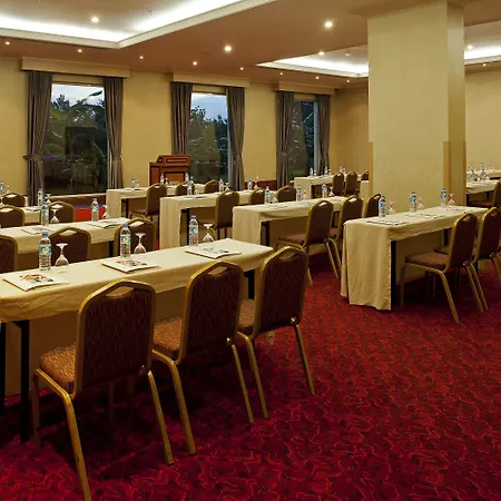 Ic Airport Hotel 4*