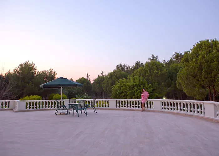 Ic Airport Hotel 4*