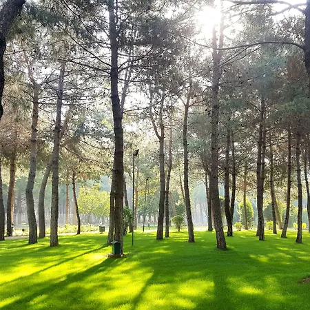 Ic Airport Hotel Antalya